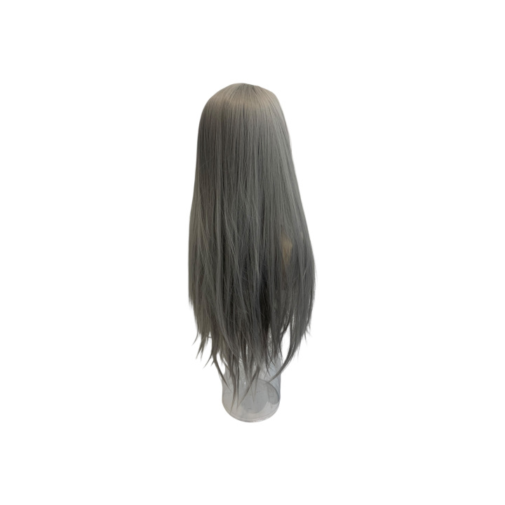 Cosplay Long 80cm Straight Gray Lace Front Wig | Alegro Athens