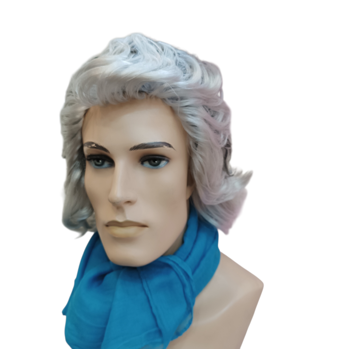 Kapodistrias Theatrical Wig | First Governor of Greece | Alegro Athens