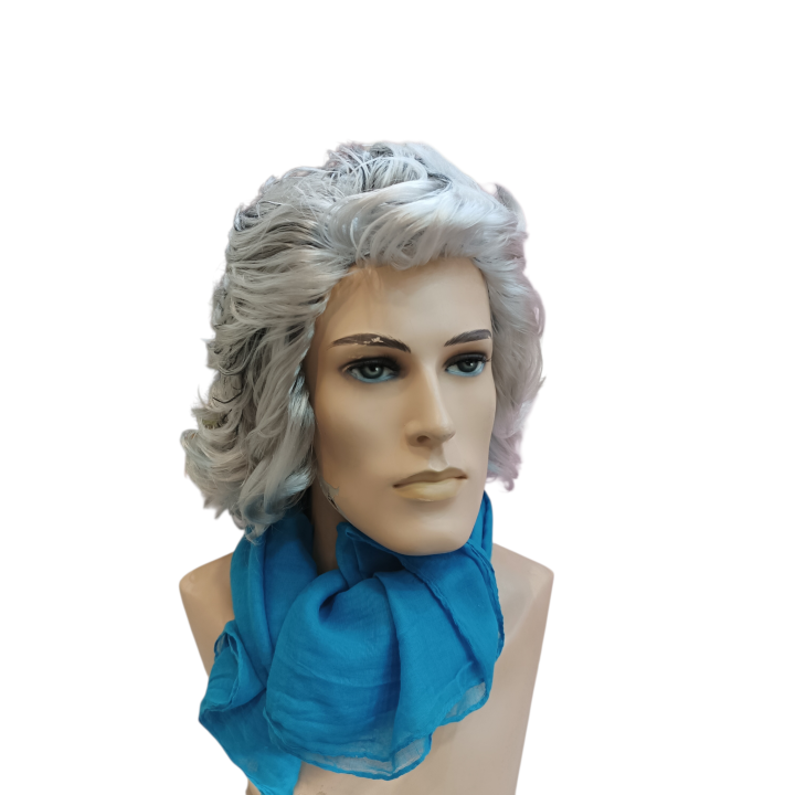 Kapodistrias Theatrical Wig | First Governor of Greece | Alegro Athens