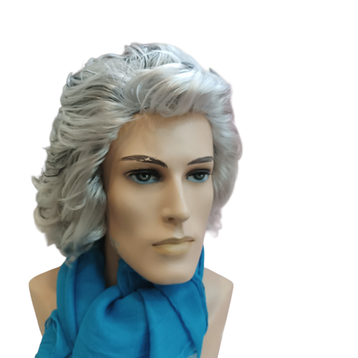 Kapodistrias Theatrical Wig | First Governor of Greece | Alegro Athens
