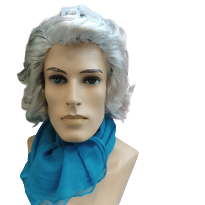 Kapodistrias Theatrical Wig | First Governor of Greece | Alegro Athens