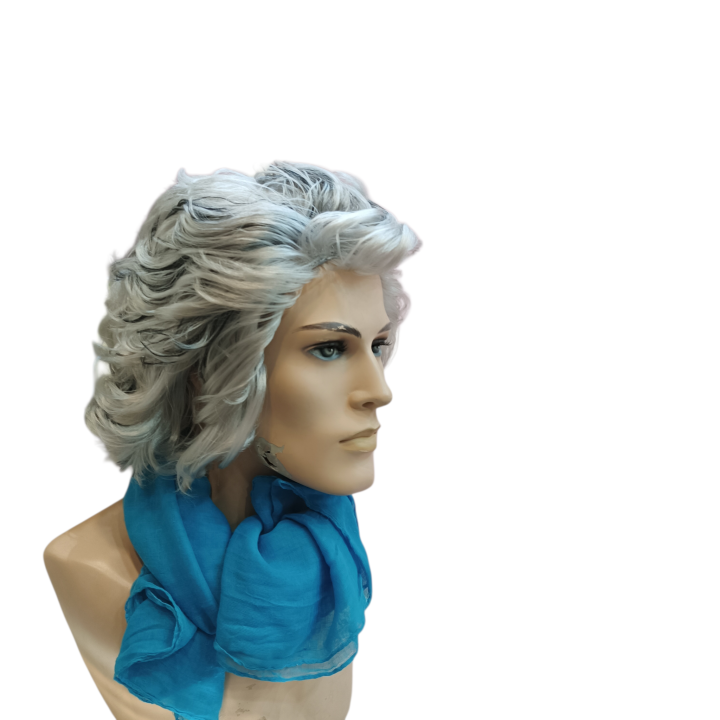 Kapodistrias Theatrical Wig | First Governor of Greece | Alegro Athens