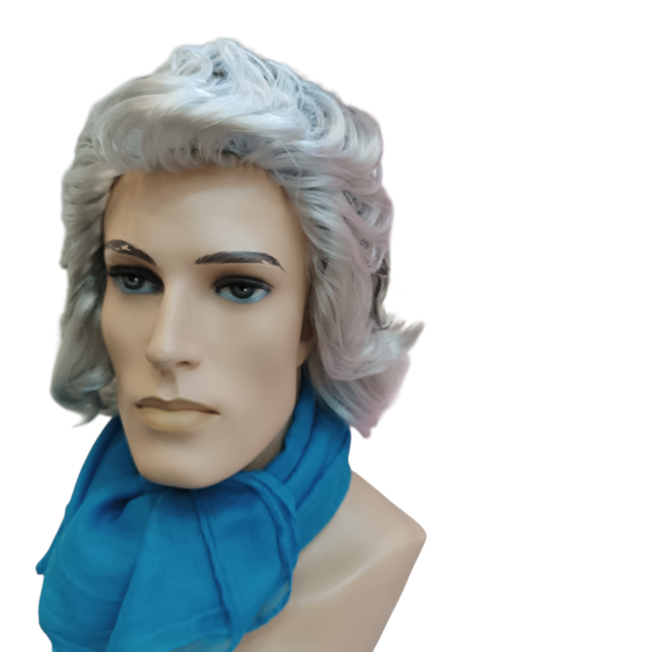 Kapodistrias Theatrical Wig | First Governor of Greece | Alegro Athens