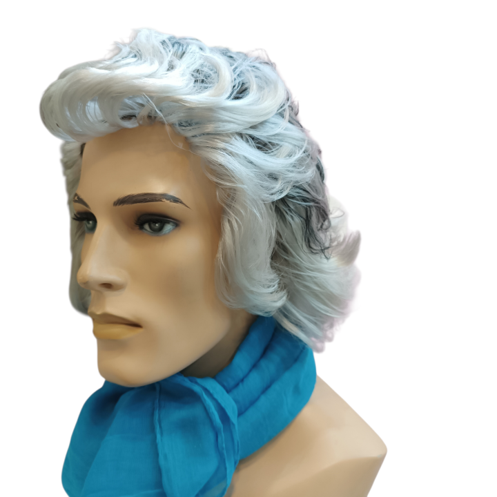 Kapodistrias Theatrical Wig | First Governor of Greece | Alegro Athens