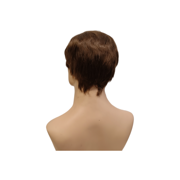 Zack Natural Look Brown Men's Short Wig | Alegro Athens