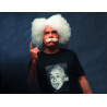 Einstein's White Wig