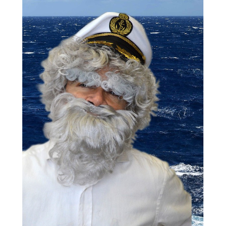 CAPTAIN wig and beard gray set