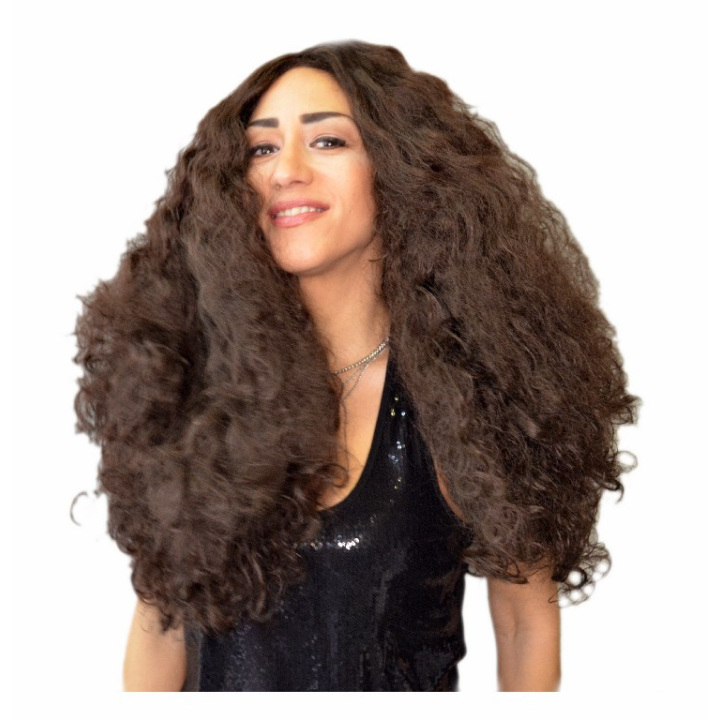 FURERIA long brown wavy wig