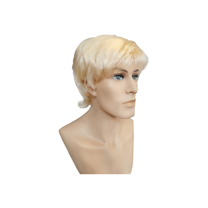 Ken Blond Men's Wig Barbie Ken Costume | Carnival & Cosplay | Alegro Athens
