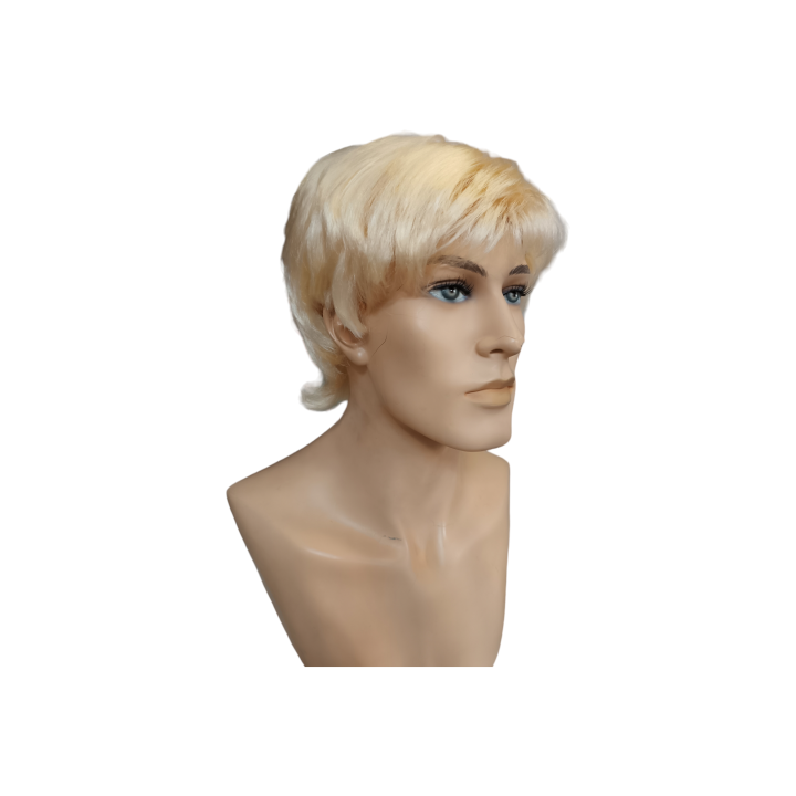Ken Blond Men's Wig Barbie Ken Costume | Carnival & Cosplay | Alegro Athens