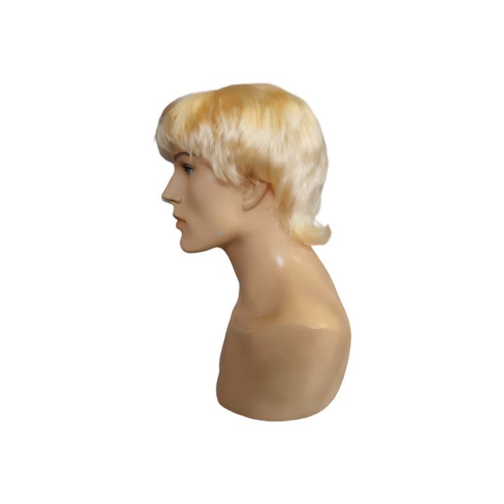 Ken Blond Men's Wig Barbie Ken Costume | Carnival & Cosplay | Alegro Athens