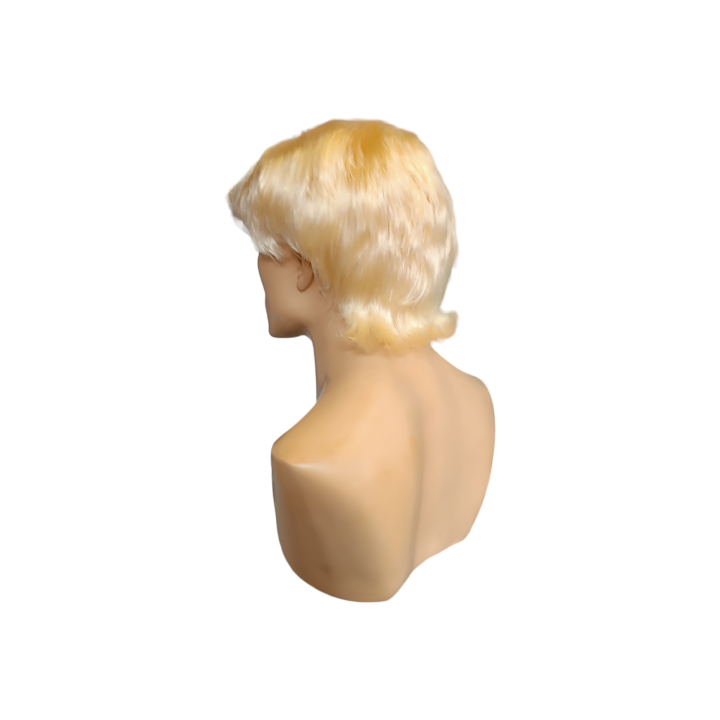Ken Blond Men's Wig Barbie Ken Costume | Carnival & Cosplay | Alegro Athens