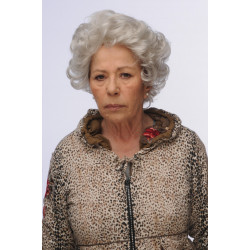 Stella Classic: Elegant Short Gray Wig natural looking modacrilic fiber short gray wig