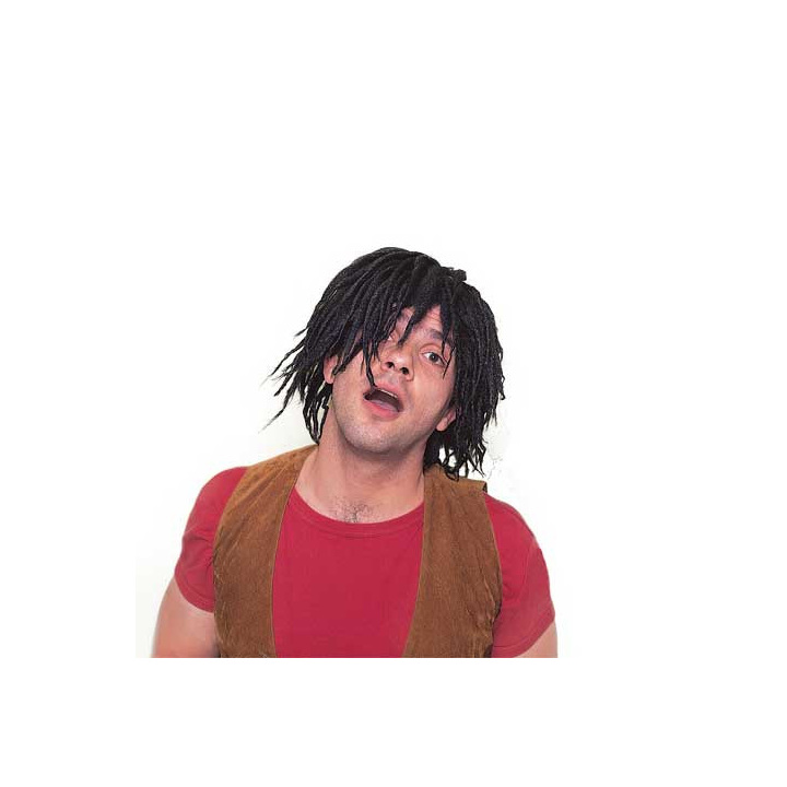 Short Black Rasta Wig | Reggae Carnival Costume | Alegro Athens