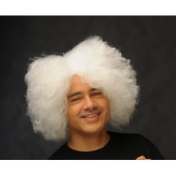 Einstein's White Wig