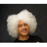 Einstein's White Wig