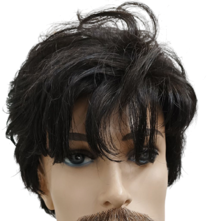 Ανδρική Μαύρη Kanekalon Περούκα Πρόεδρος | Θέατρο & Πολιτική Σάτιρα | Alegro