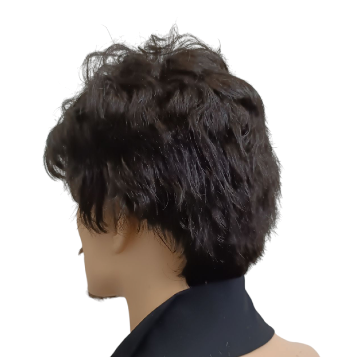 Ανδρική Μαύρη Kanekalon Περούκα Πρόεδρος | Θέατρο & Πολιτική Σάτιρα | Alegro