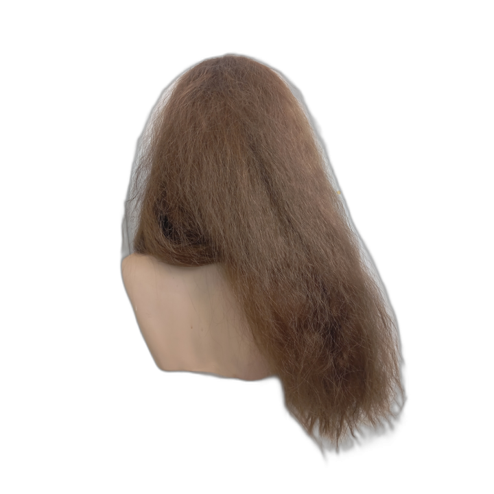 Long Light Brown Wise Guru Wig | Sage Philosopher Costume | Alegro Athens