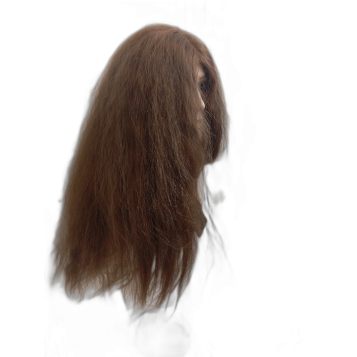 Long Light Brown Wise Guru Wig | Sage Philosopher Costume | Alegro Athens