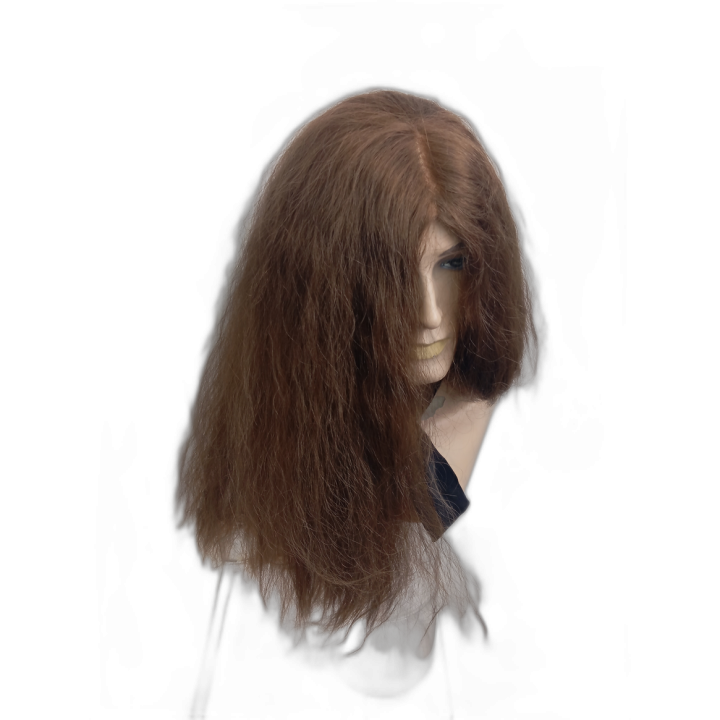 Long Light Brown Wise Guru Wig | Sage Philosopher Costume | Alegro Athens