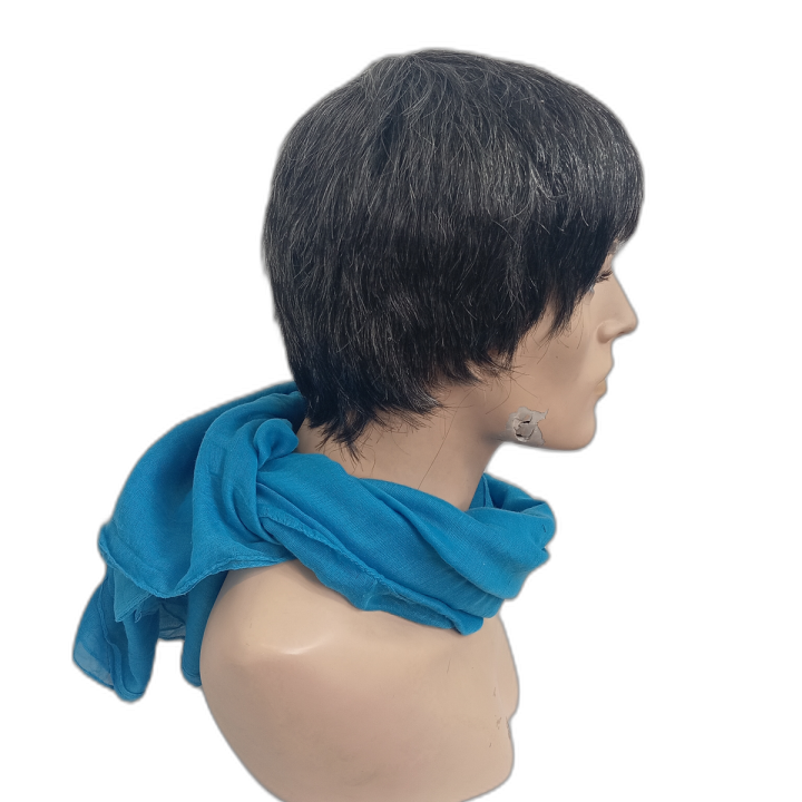 Zack Natural Look Salt and Pepper Men's Short Wig | Alegro Athens