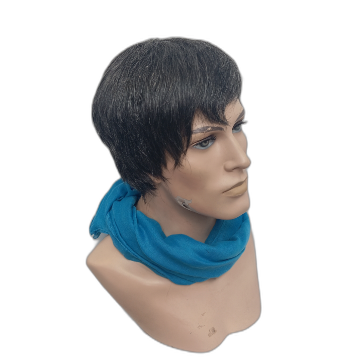 Zack Natural Look Salt and Pepper Men's Short Wig | Alegro Athens