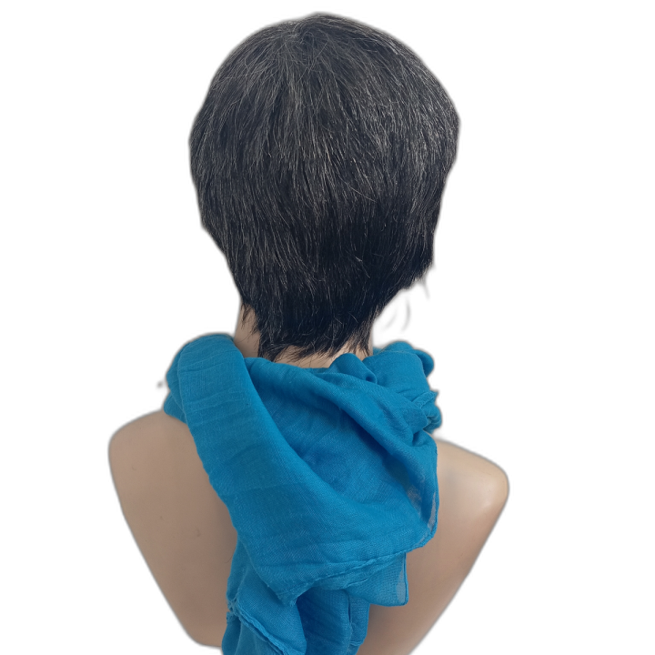 Zack Natural Look Salt and Pepper Men's Short Wig | Alegro Athens