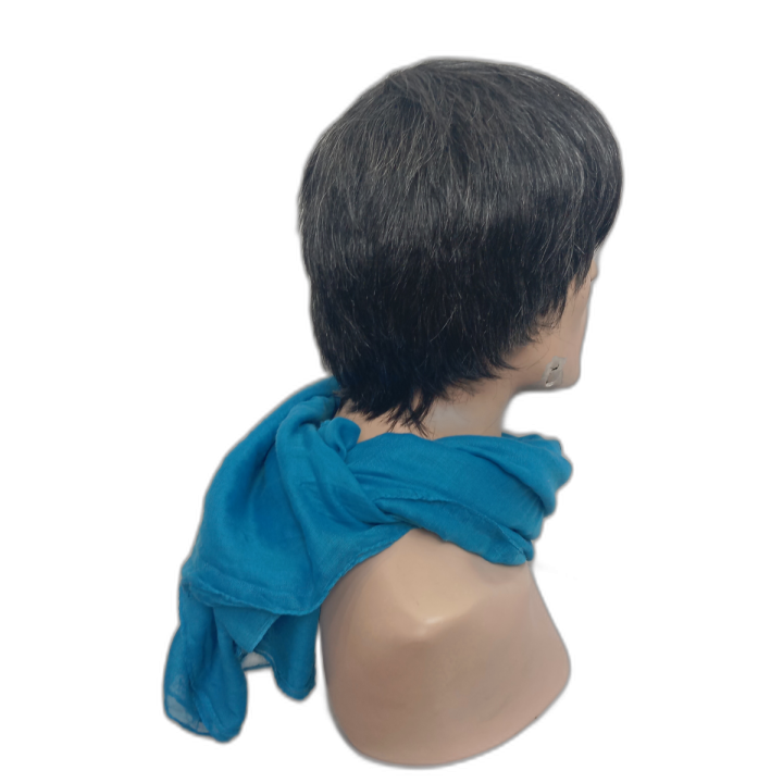 Zack Natural Look Salt and Pepper Men's Short Wig | Alegro Athens