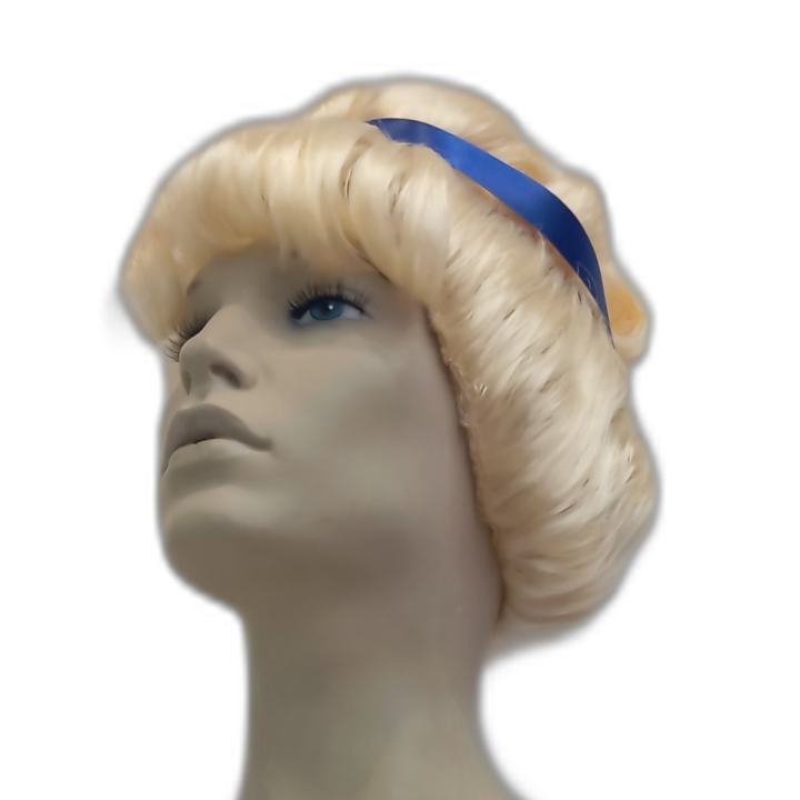 Σταχτοπούτα Ψηλή Ξανθιά Σγουρή Περούκα Μπλε Κορδέλα | Απόκριες | Alegro