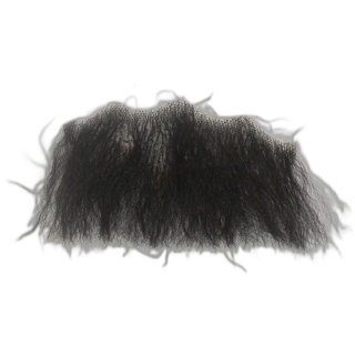 Μεγάλο Μαύρο Γενειάδα Underchin Τούλι | Θέατρο | Alegro