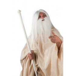 WHITE WIZARD'S WIG