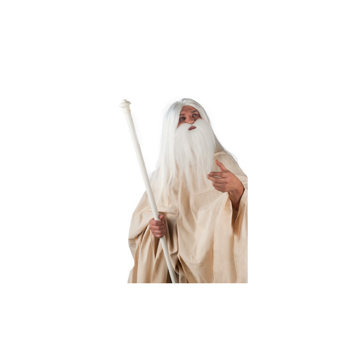 WHITE WIZARD'S WIG